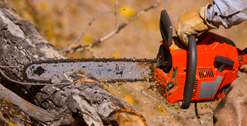 Chainsaw cutting into tree lumber