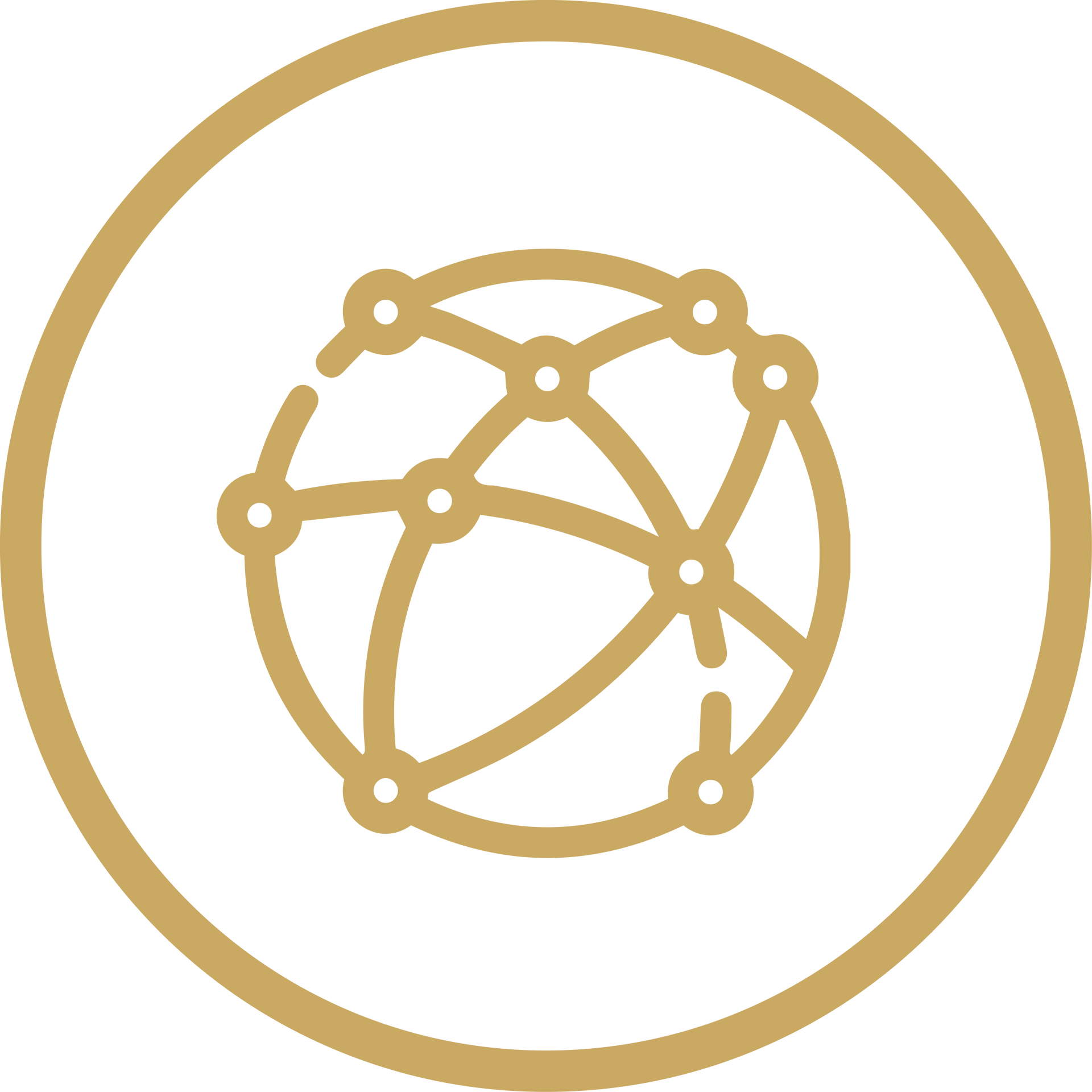 Gold network globe icon inside a gold circle on a white background