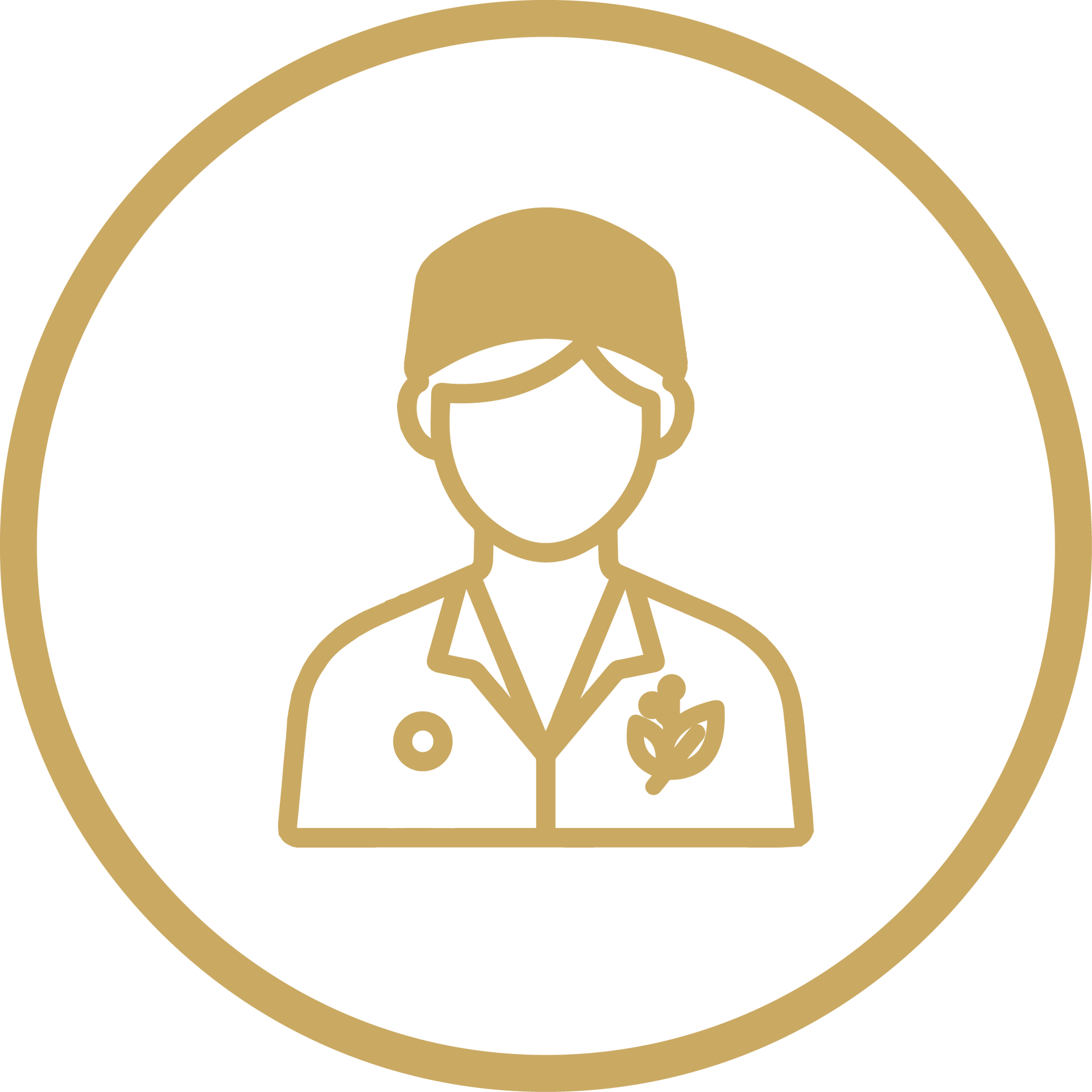 Gold medical staff icon inside a circle on a white background