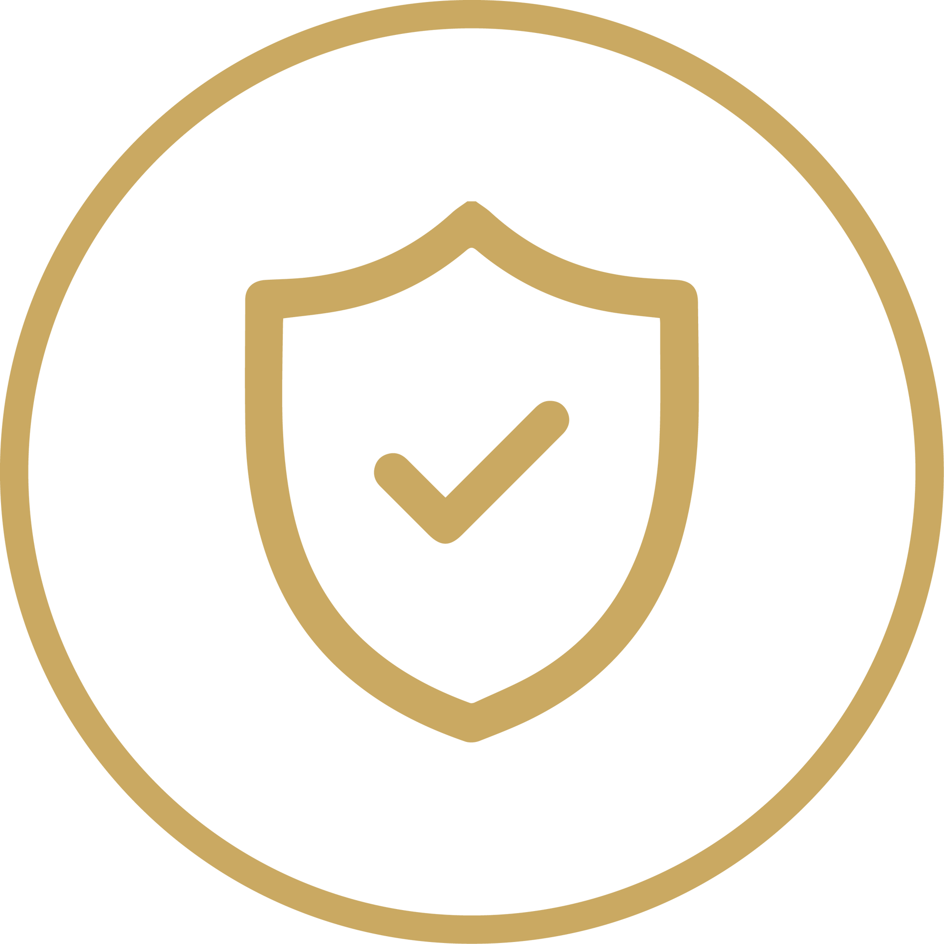 Gold medical caduceus symbol inside a gold circle on a white background
