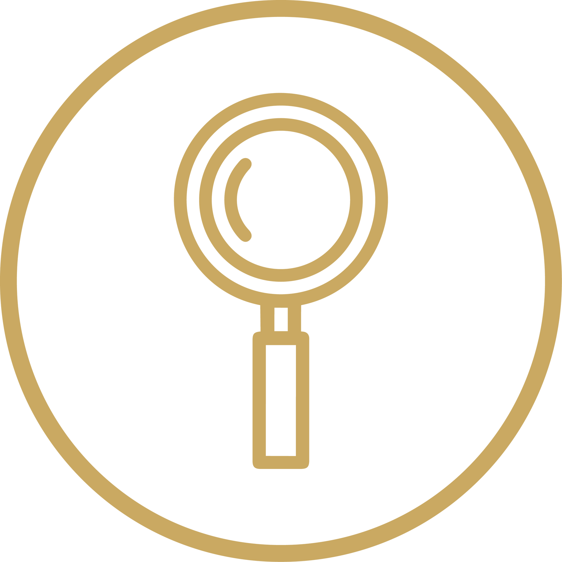 Gold magnifying glass icon inside a circular border on a white background