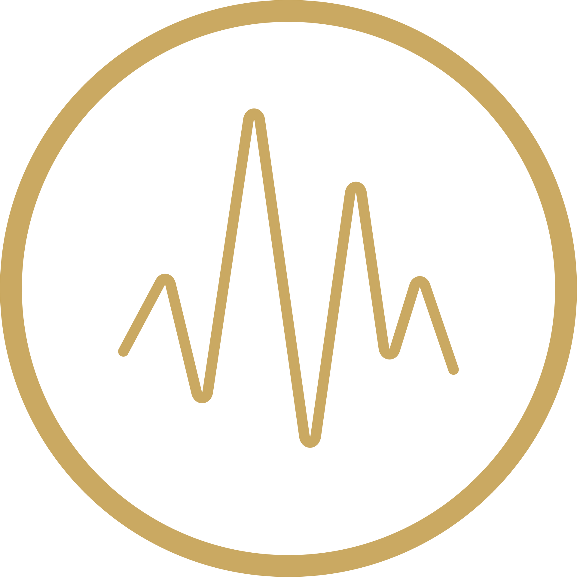 Gold circular logo with a stylized heartbeat line inside on a white background