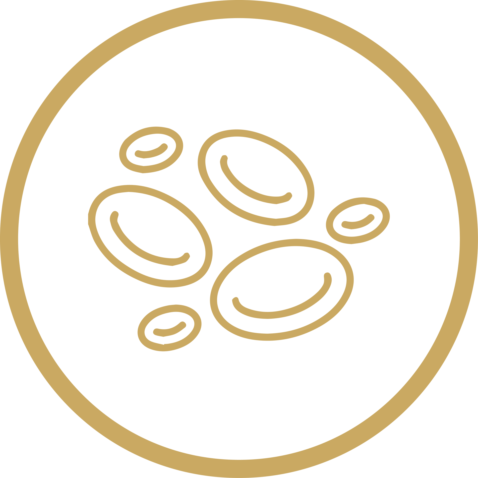 Gold outline of kidney bean-like seeds inside a circular border on a white background