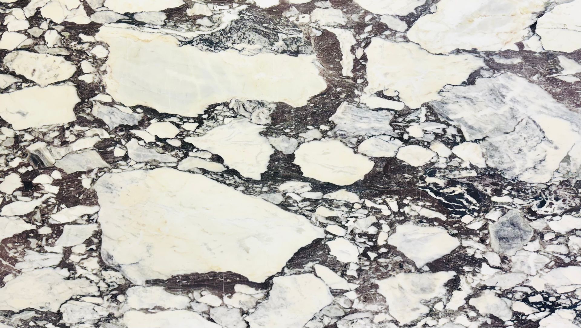 Calacatta Viola 2cm Honed 4912