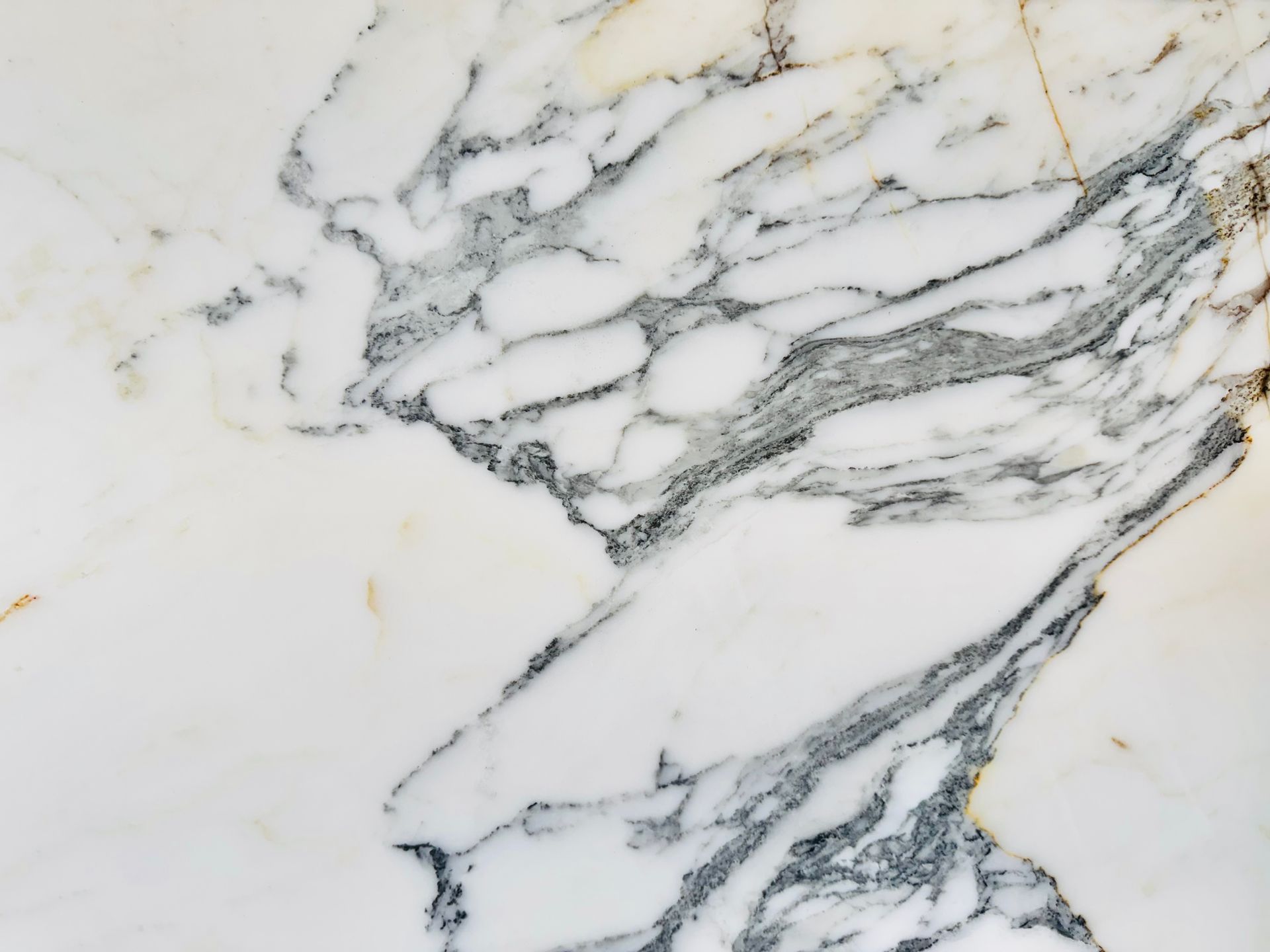 Arabescato Corchia 4599