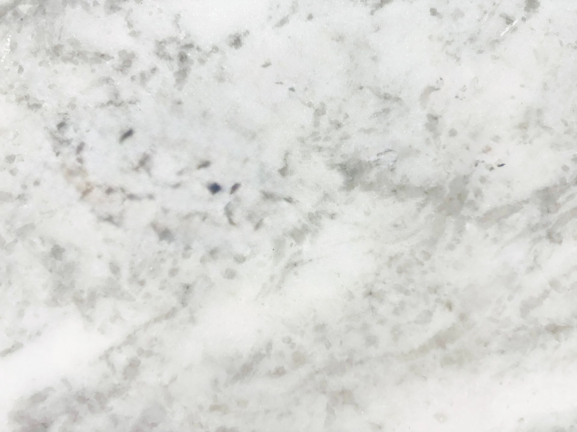 Michelangelo 2cm 4361