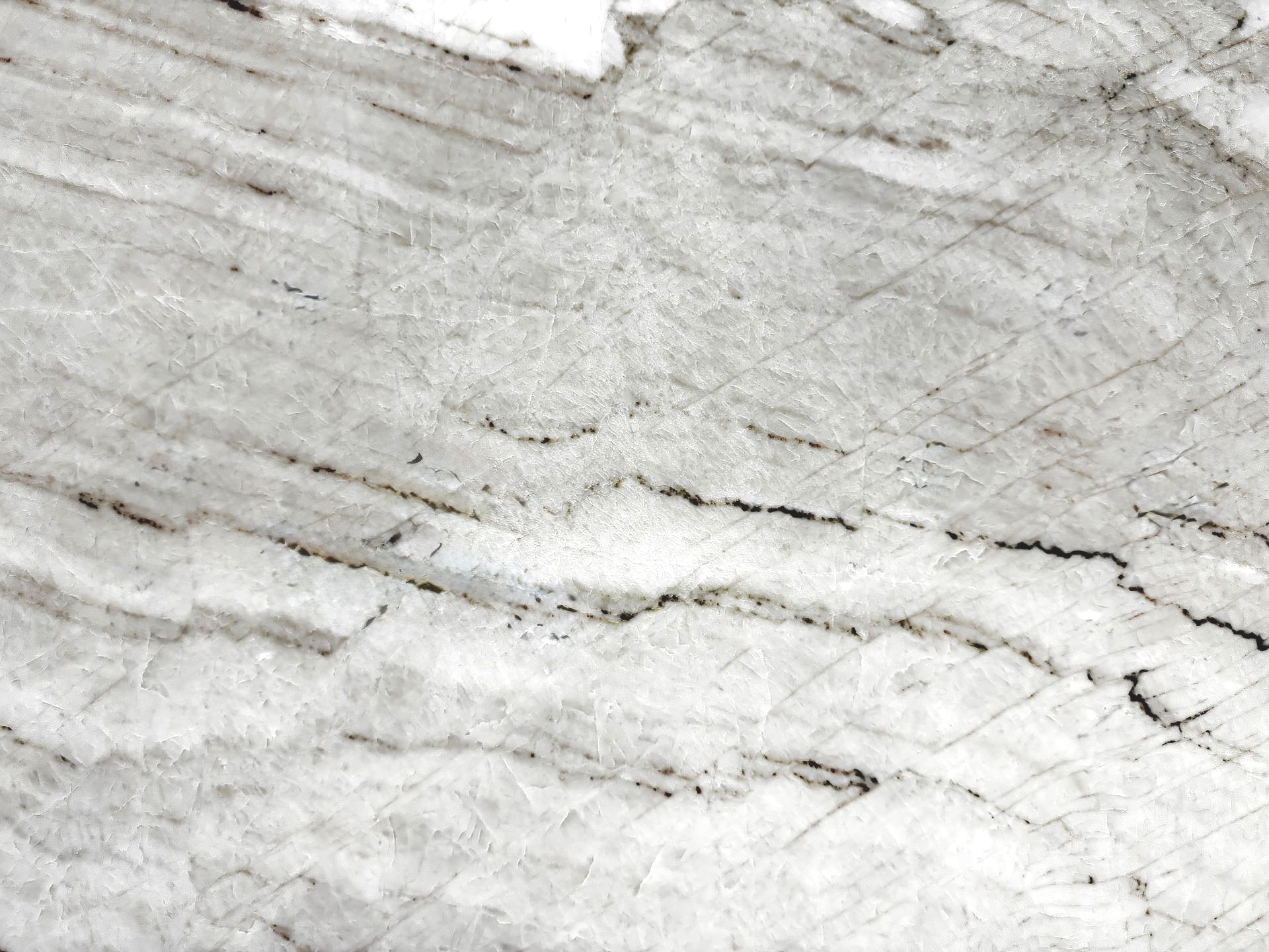 White Taj Mahal 4736