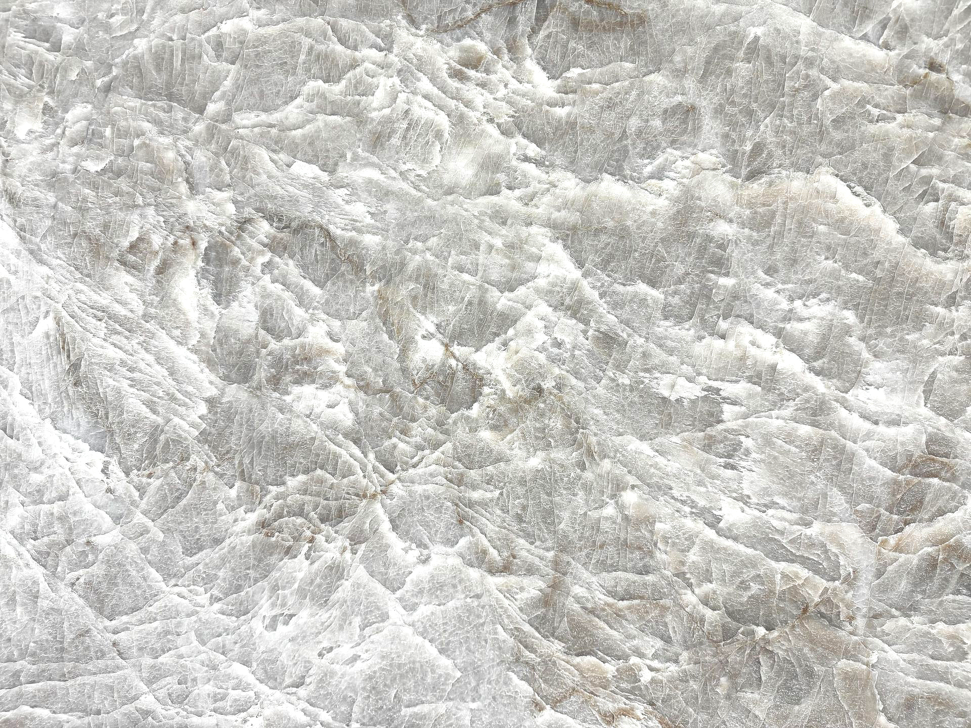 Taj Mahal Leathered 4736