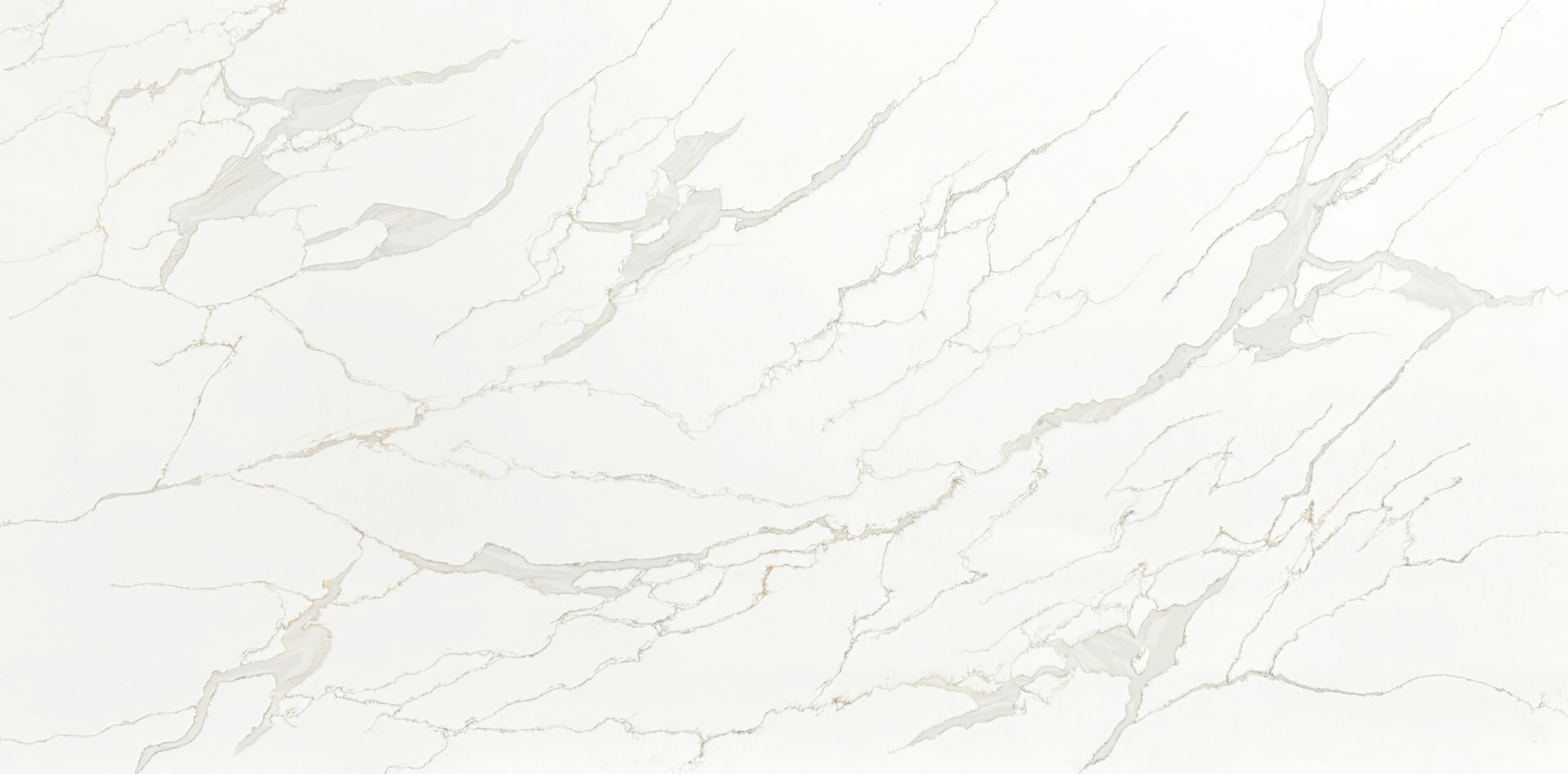 Marvella Borghini Premium