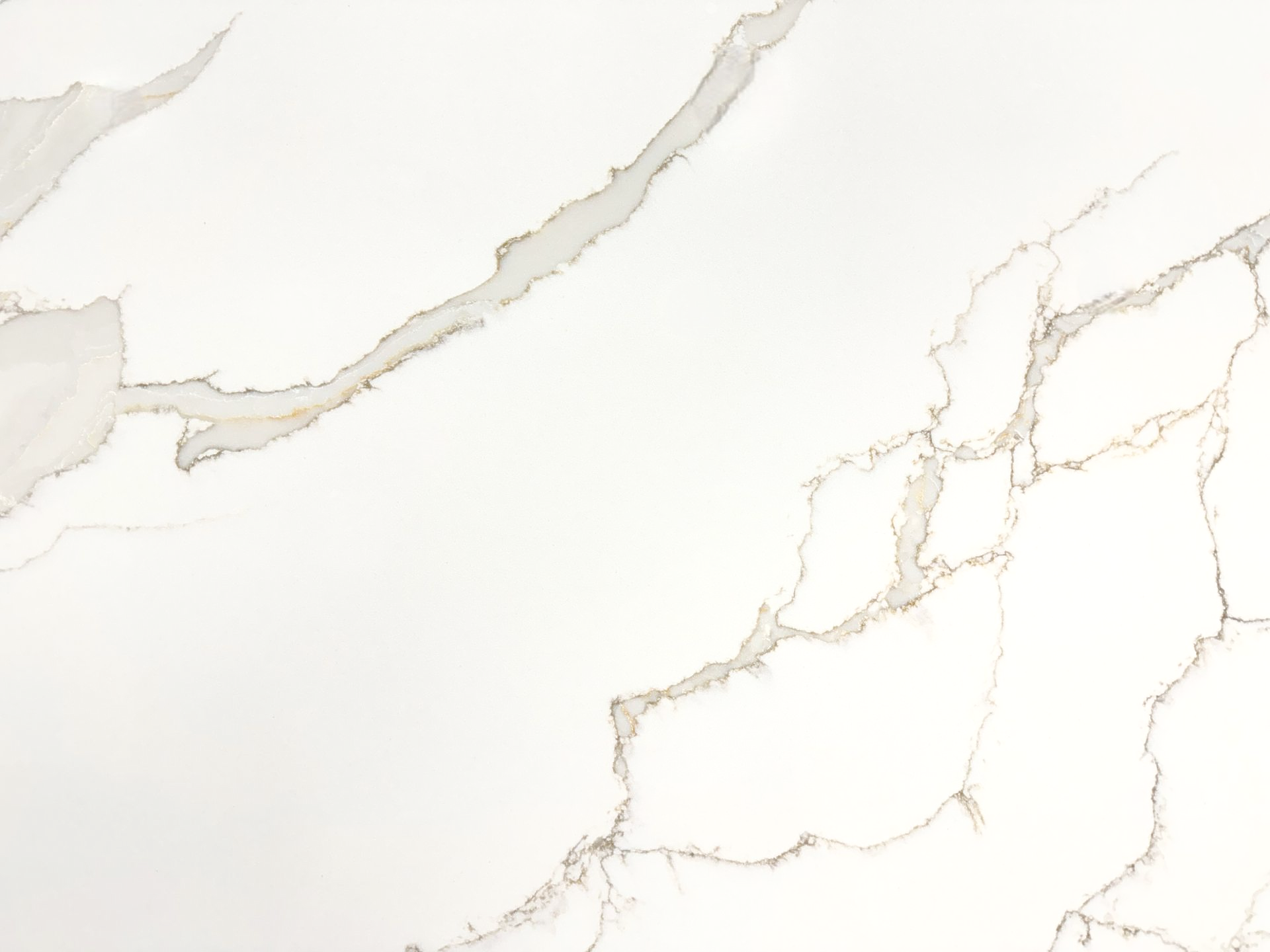 Marvella Borghini Premium