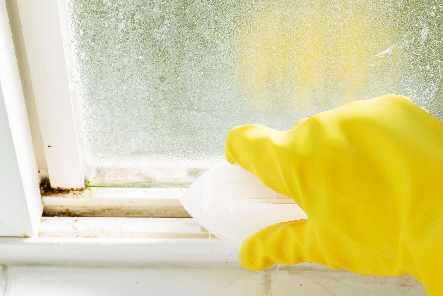 Can Window Cleaning Remove Mold and Mildew Around Frames?