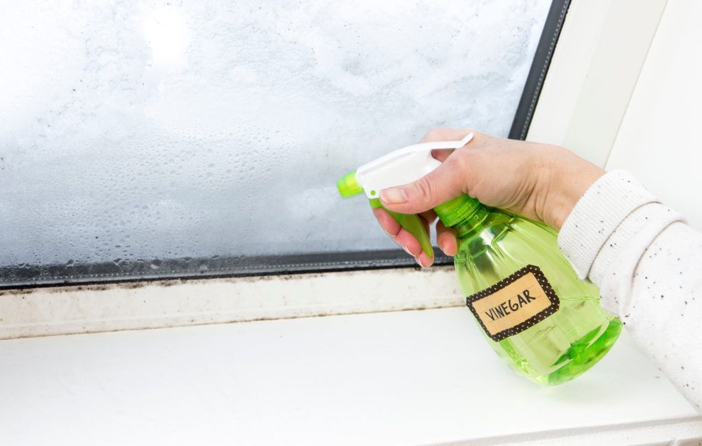 Does Window Cleaning Remove Mold and Mildew?