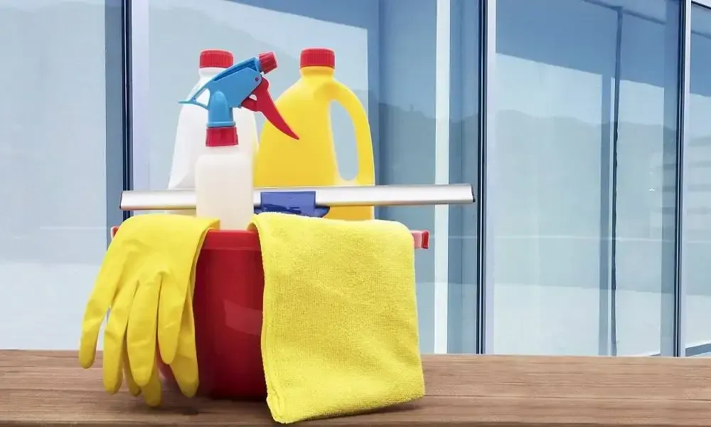 Eco-Friendly & Non-Toxic Window Cleaning Options