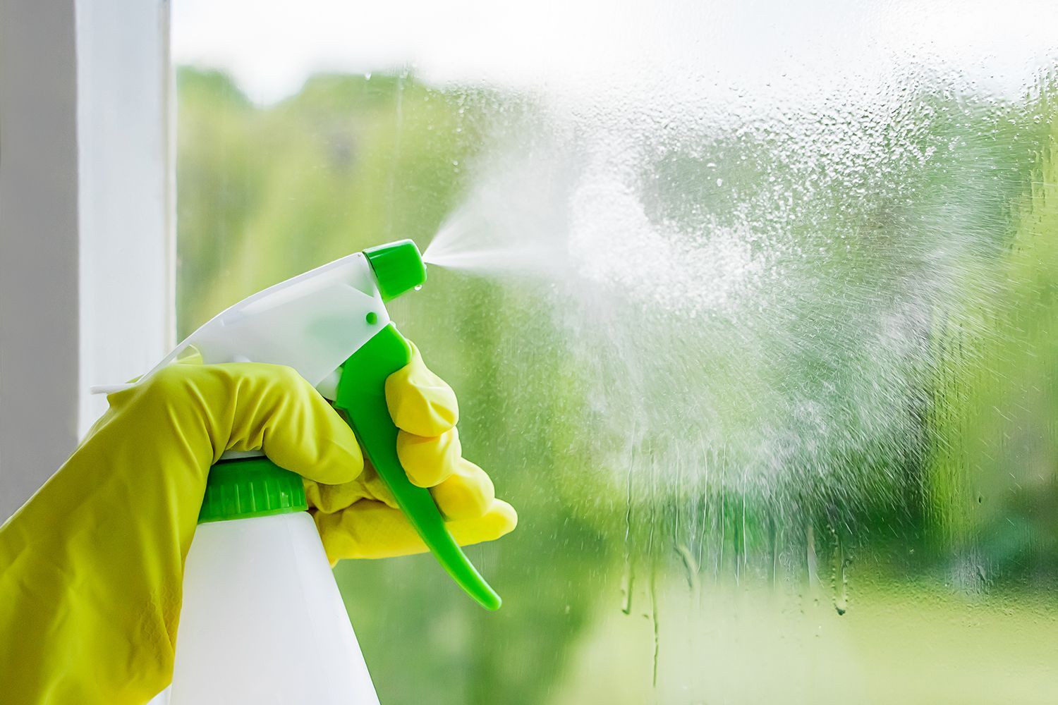 Green Window Cleaning Solutions in Plano