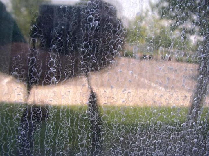 Hard Water vs. Acid Rain: What’s Actually Damaging Your Windows?