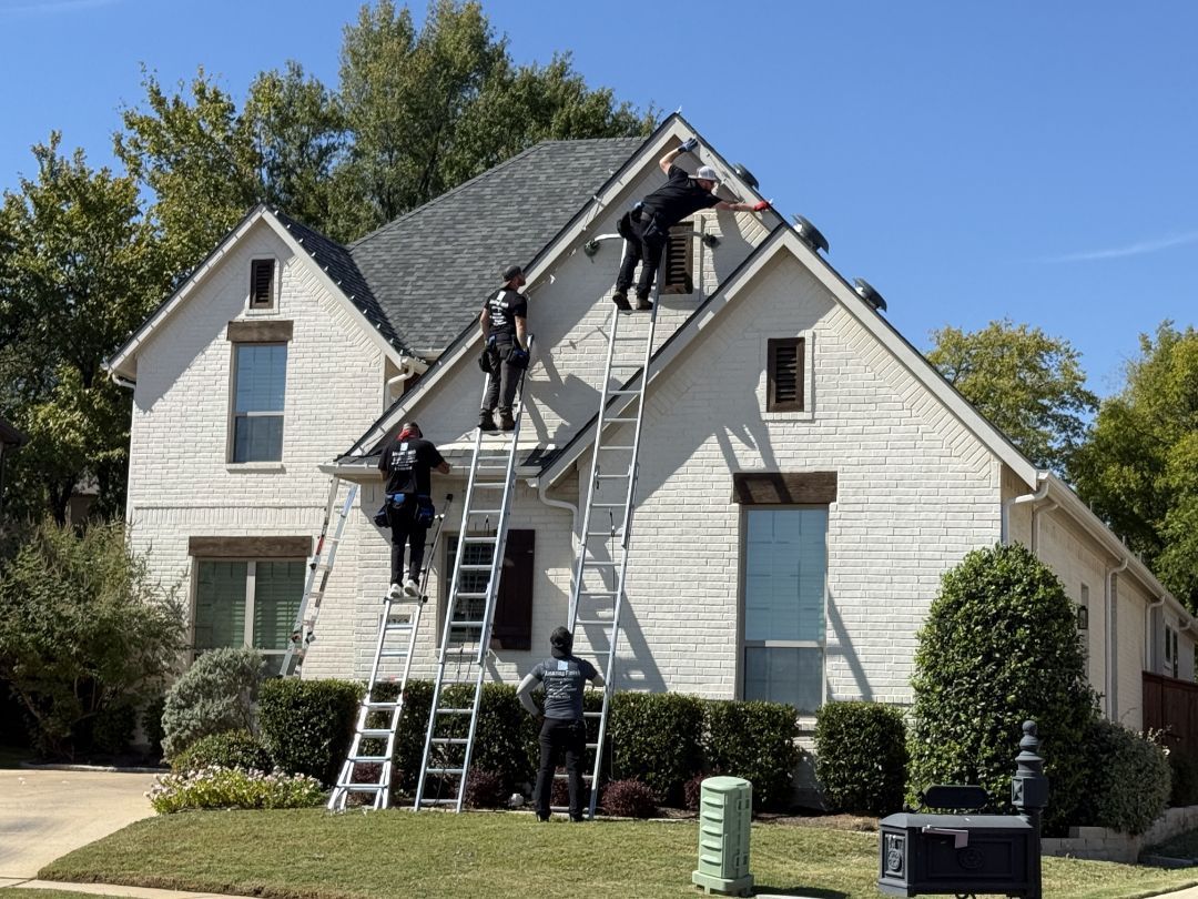 how to clean high window with birds poop?