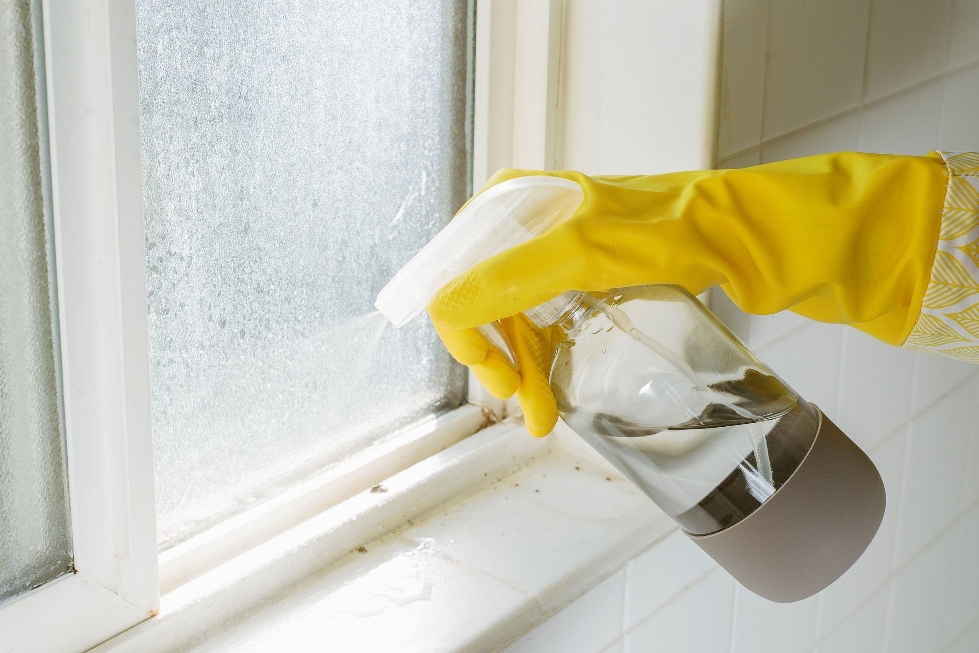 How to Clean Mold Off Window Sills?