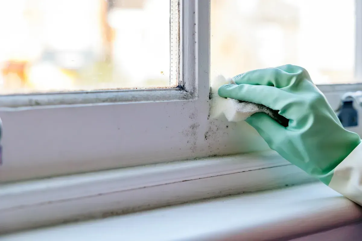 How to Clean Mold Off Window Sills (Step-by-Step)