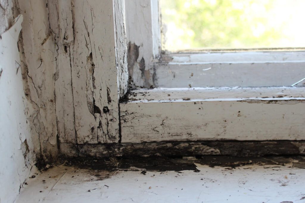 How to Prevent Mold on Window Sills