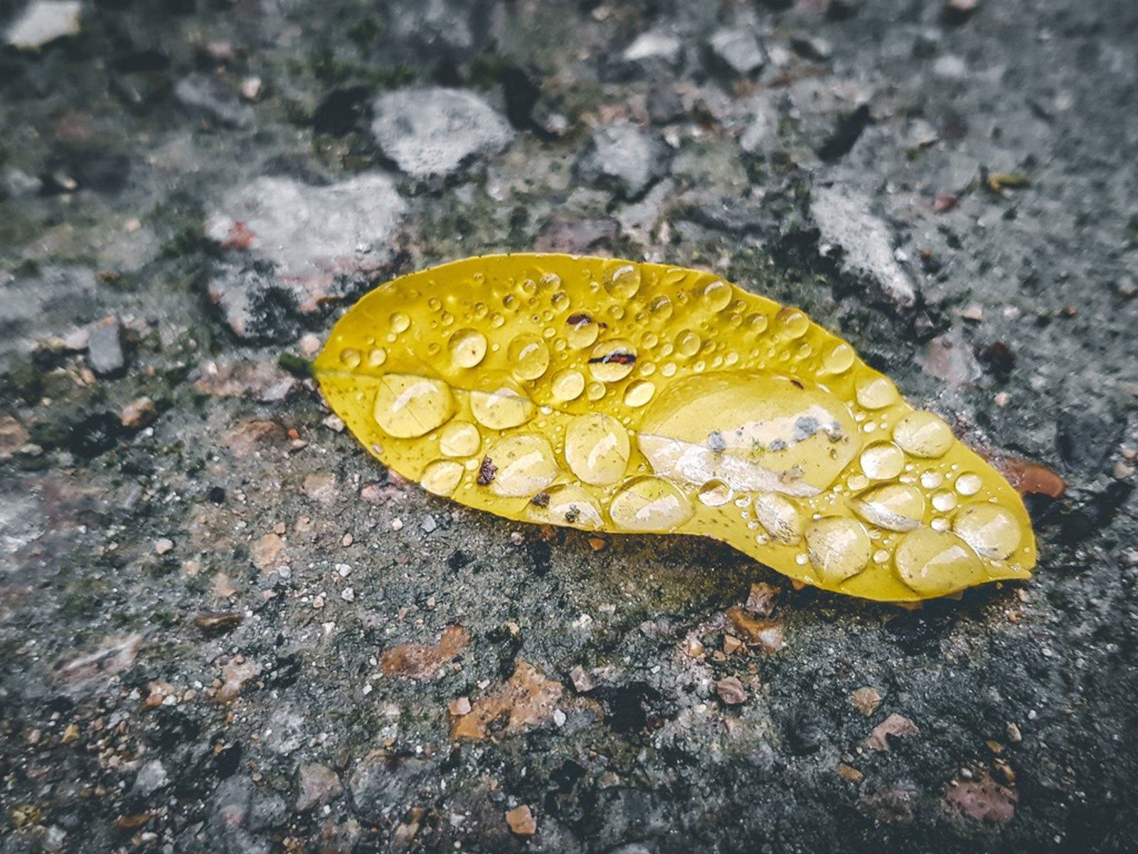 How to Tell If Damage Is from Hard Water or Acid Rain