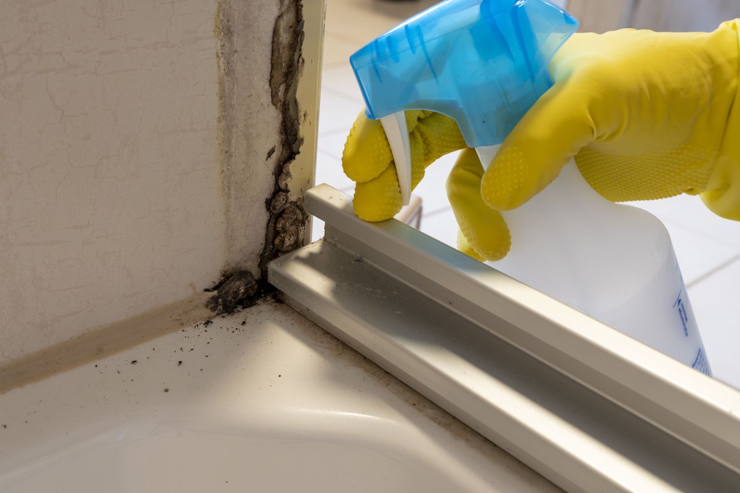 Natural Ways to Remove Mold from Window Sills