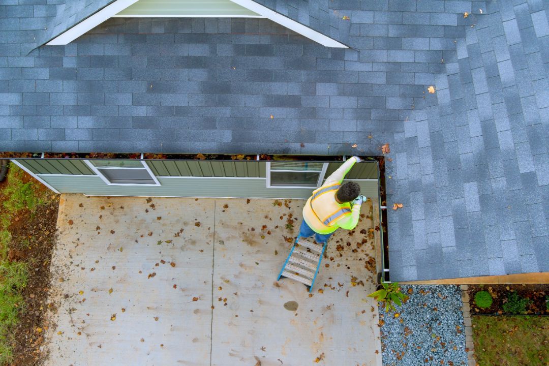 Sources of Gutter Debris Without Trees