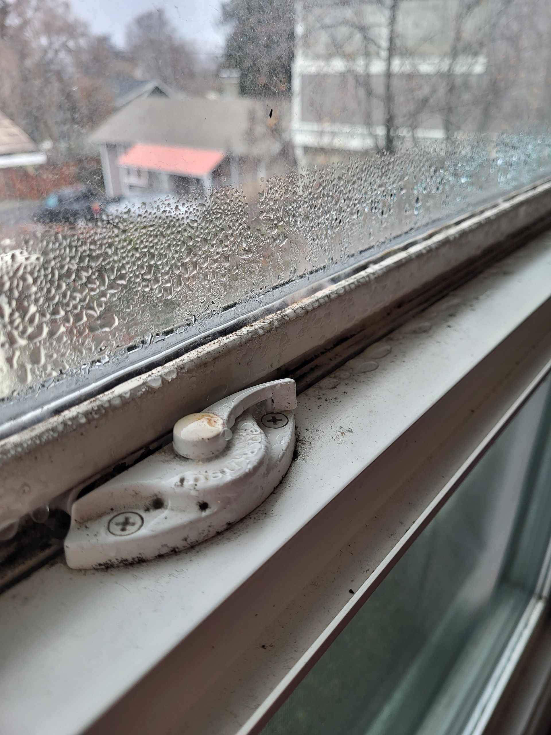 Understanding Mold and Mildew on Window Frames
