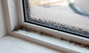 Why Does Mold Grow on Window Sills?