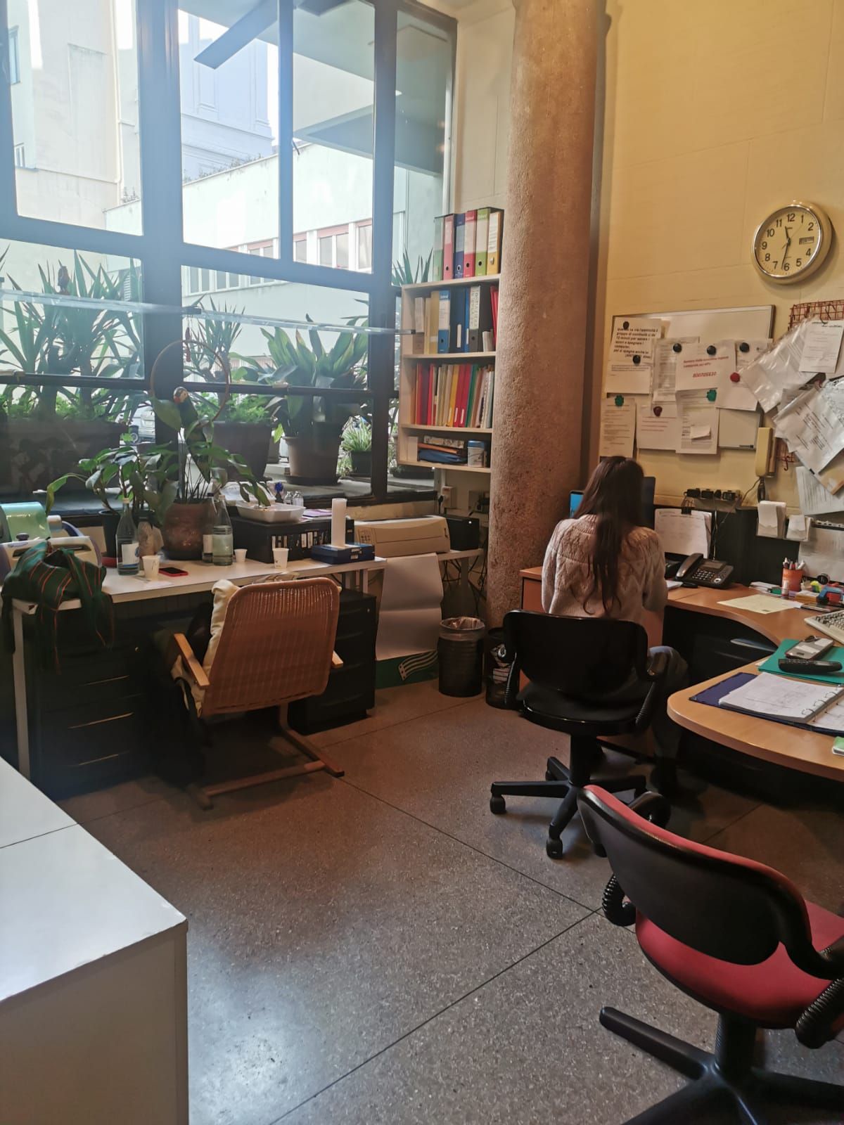 Interno di un ufficio con due scrivanie, librerie e una finestra con vista sulle piante. Una persona lavora a una scrivania.