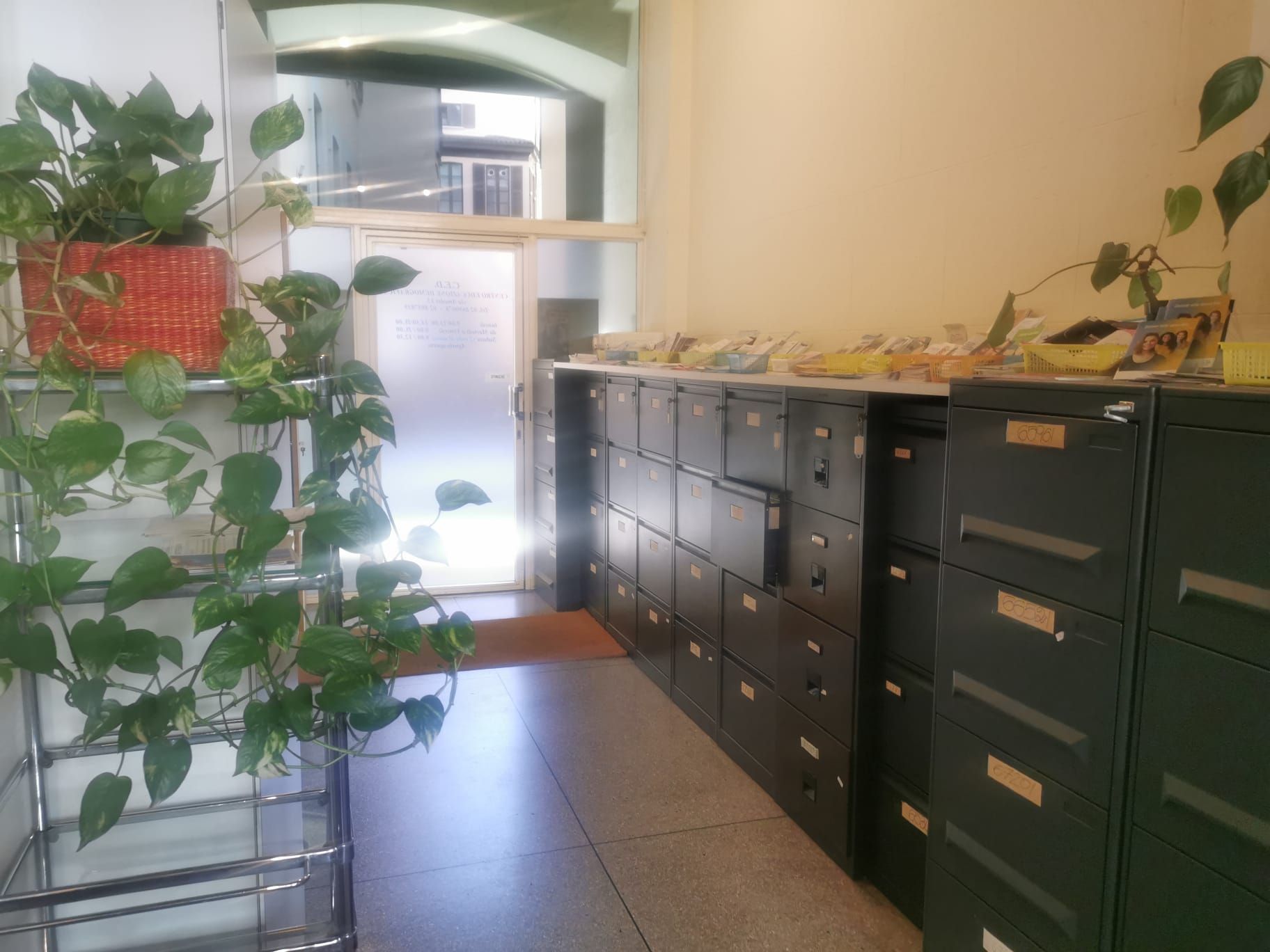 Cassette postali all'ingresso di un edificio con piante e una porta aperta.