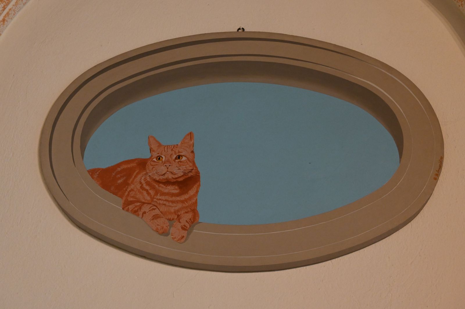 Gatto arancione che riposa in una finestra ovale con sfondo blu.