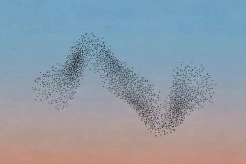 FEBRUARY - Manage and Appreciate Team Dynamics