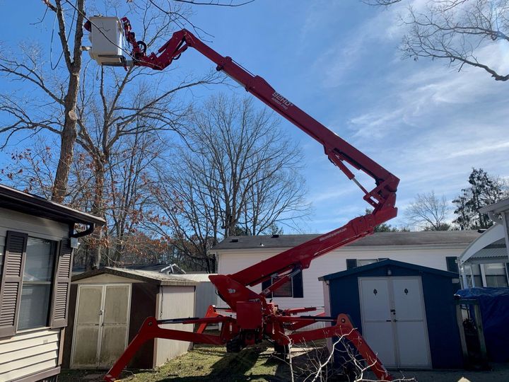 Tree Trimming — Atlantic and Cape May Counties in Southern New Jersey — Tree Works