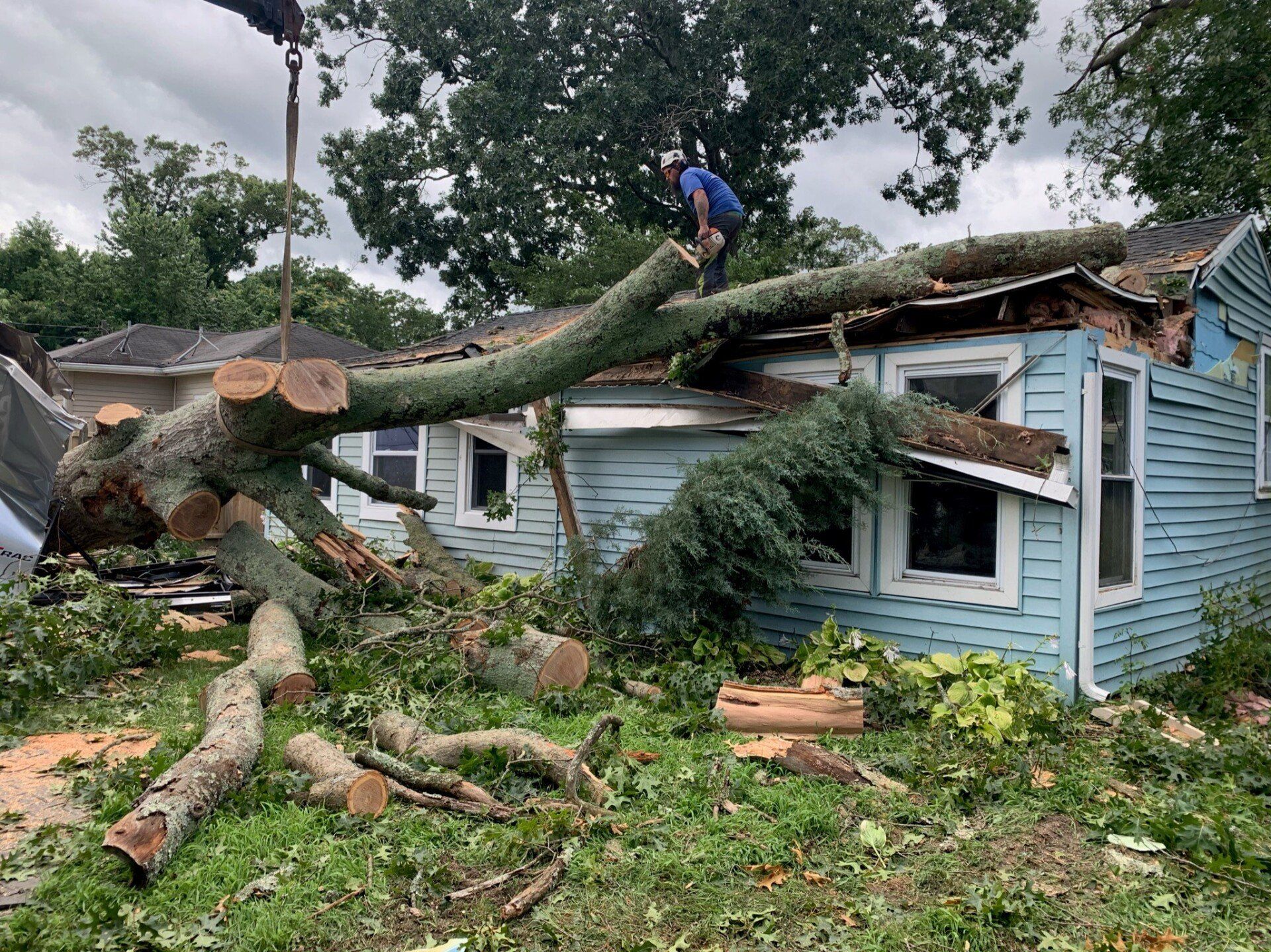 Down Tree On House — Atlantic and Cape May Counties in Southern New Jersey — Tree Works