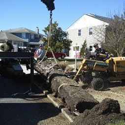 Carrying Big Log — Atlantic and Cape May Counties in Southern New Jersey — Tree Works