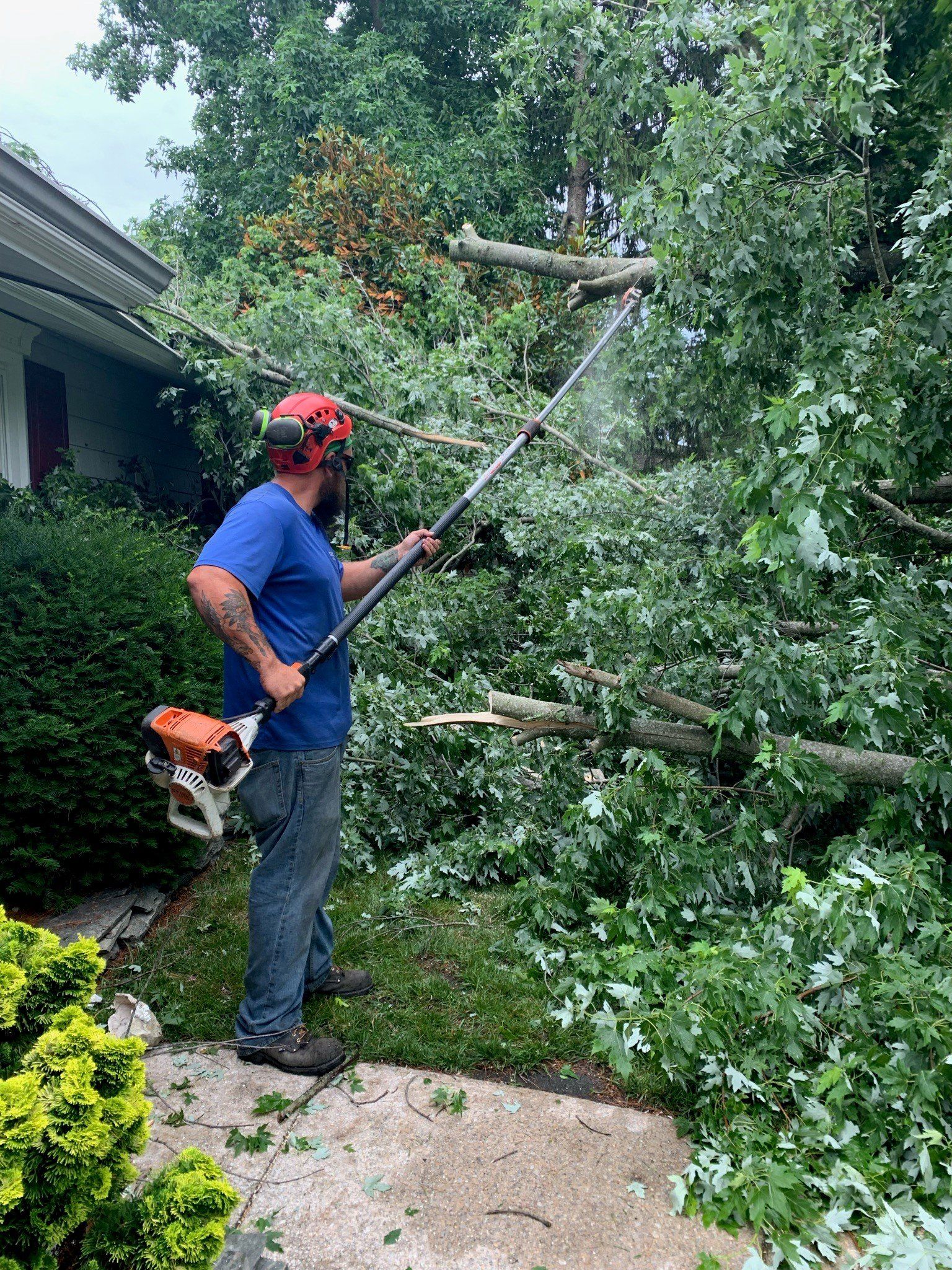Man Handling Tree Cutter — Atlantic and Cape May Counties in Southern New Jersey — Tree Works