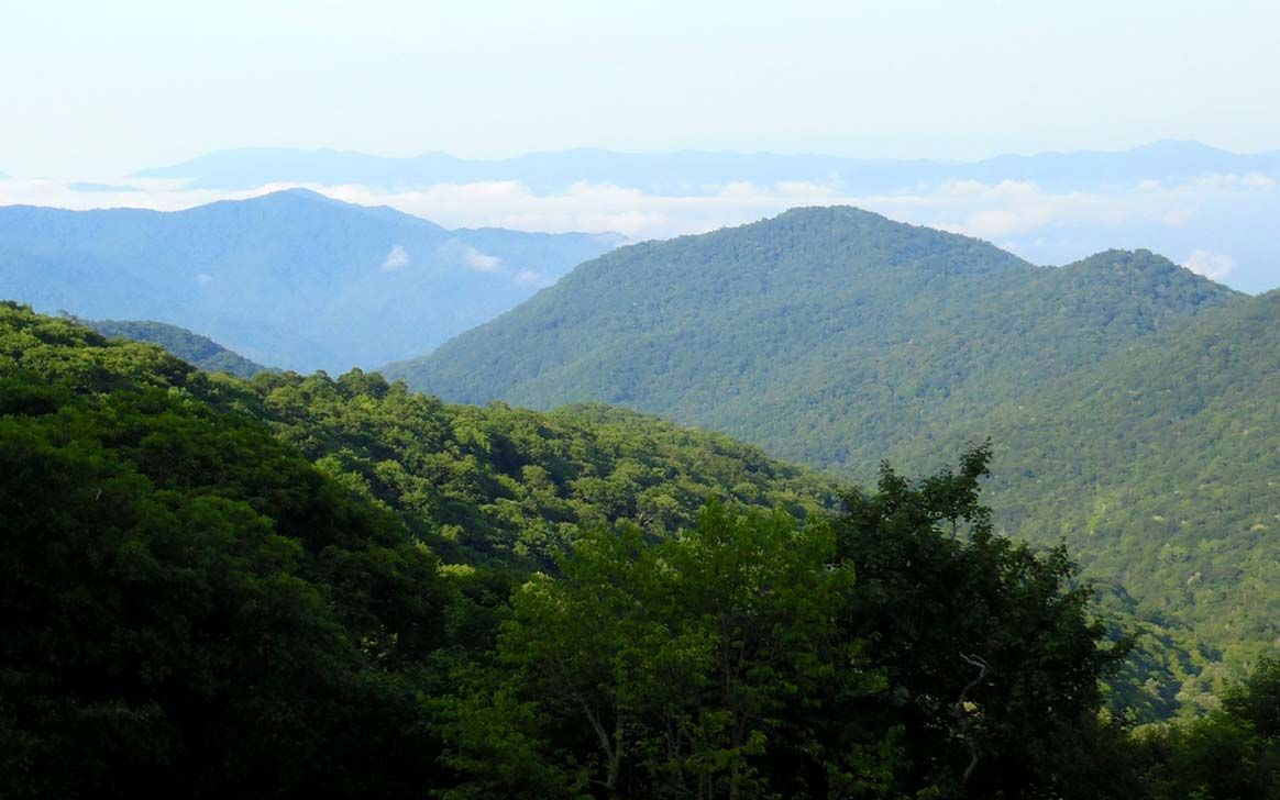 A view of a mountain range with trees in the foreground