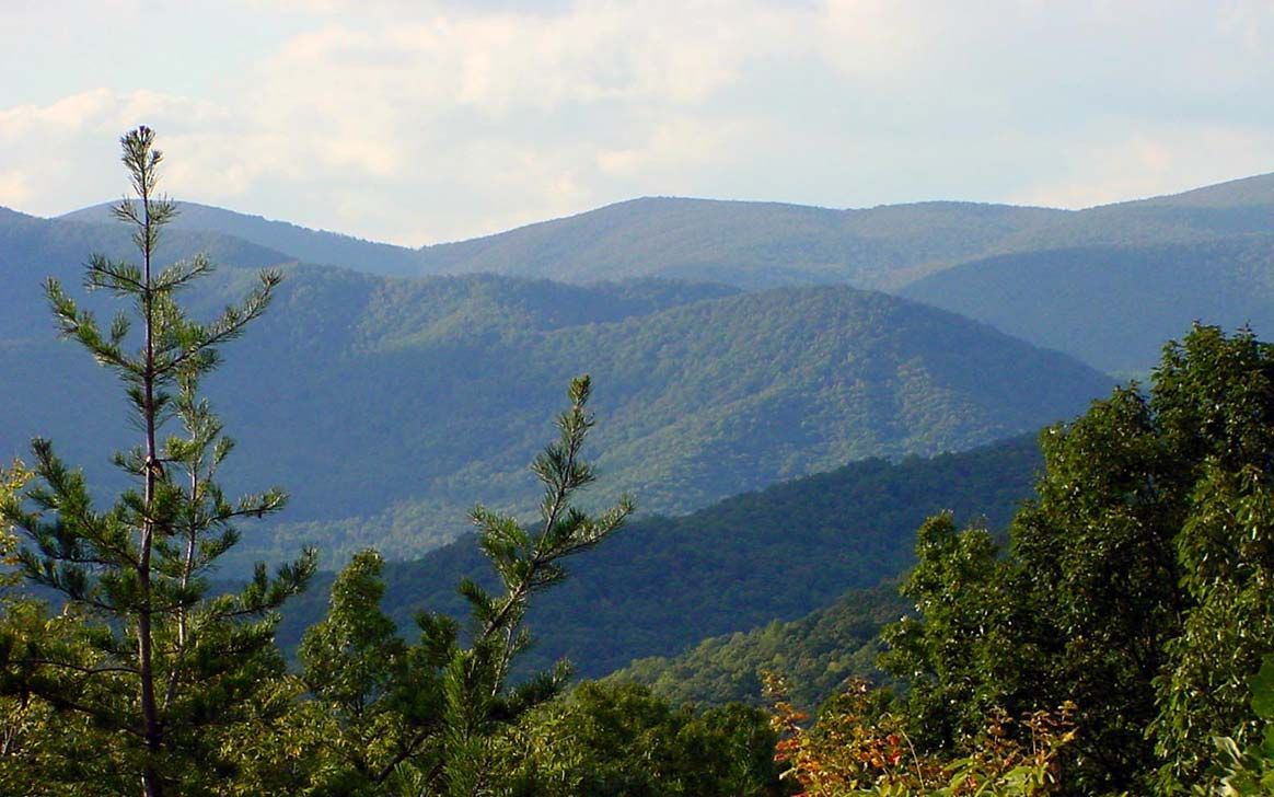 A view of a mountain range with trees in the foreground