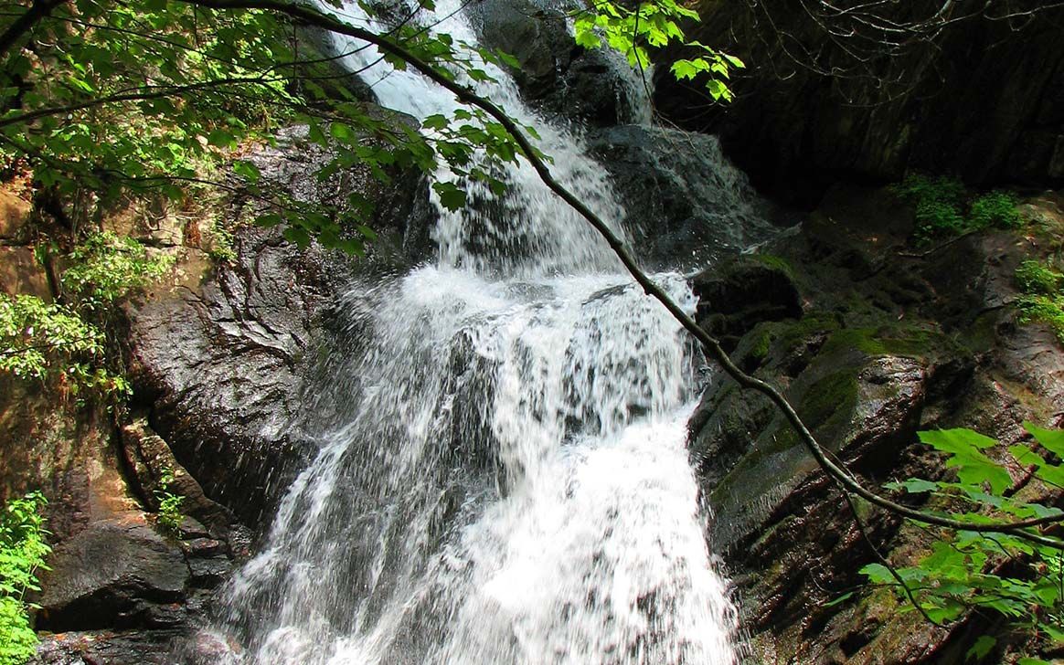 A waterfall is surrounded by trees and rocks