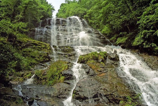 A waterfall in the middle of a lush green forest
