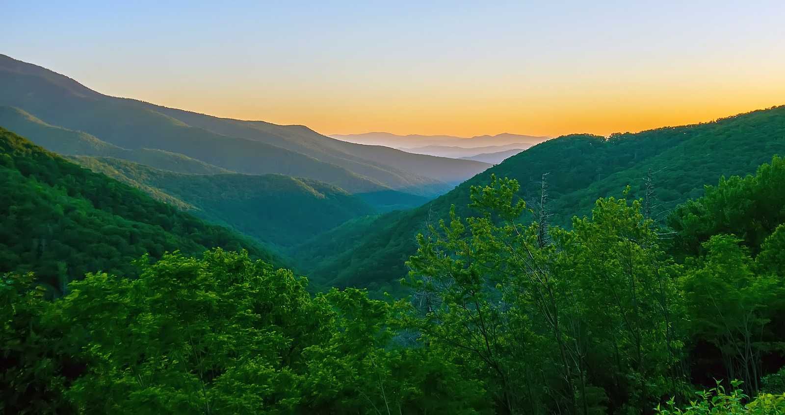 A view of a valley filled with trees and mountains at sunset.