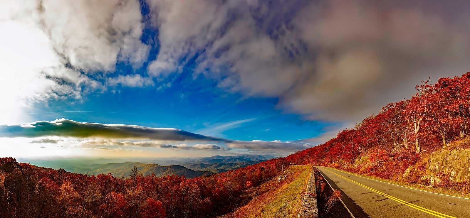 A road going through a mountainous area with trees on both sides