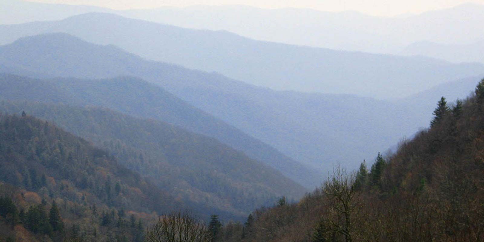 A view of a mountain range with trees in the foreground and mountains in the background.