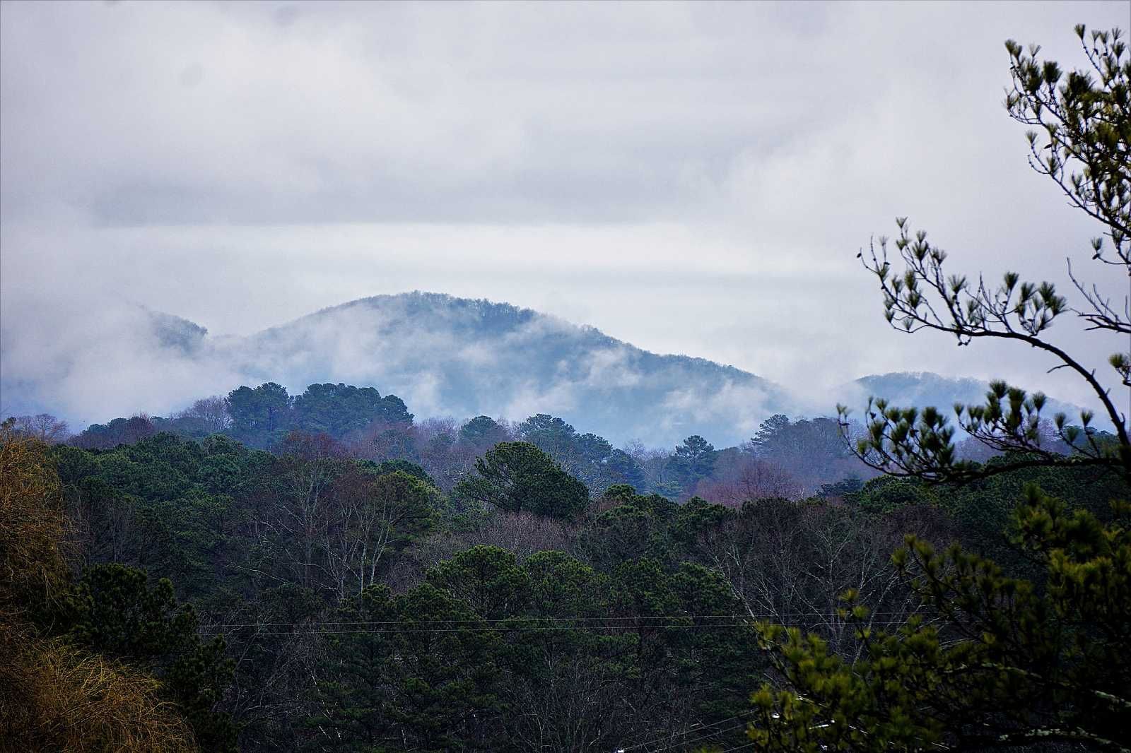 A mountain covered in fog with trees in the foreground
