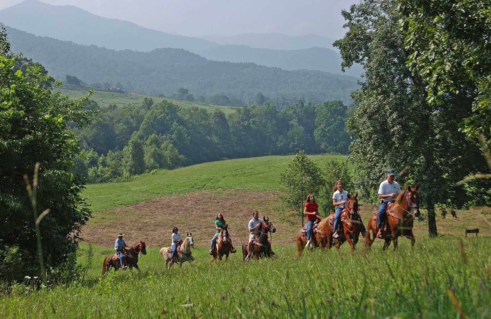A group of people riding horses in a field with mountains in the background