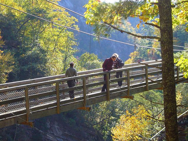 Two people are walking across a wooden bridge in the woods