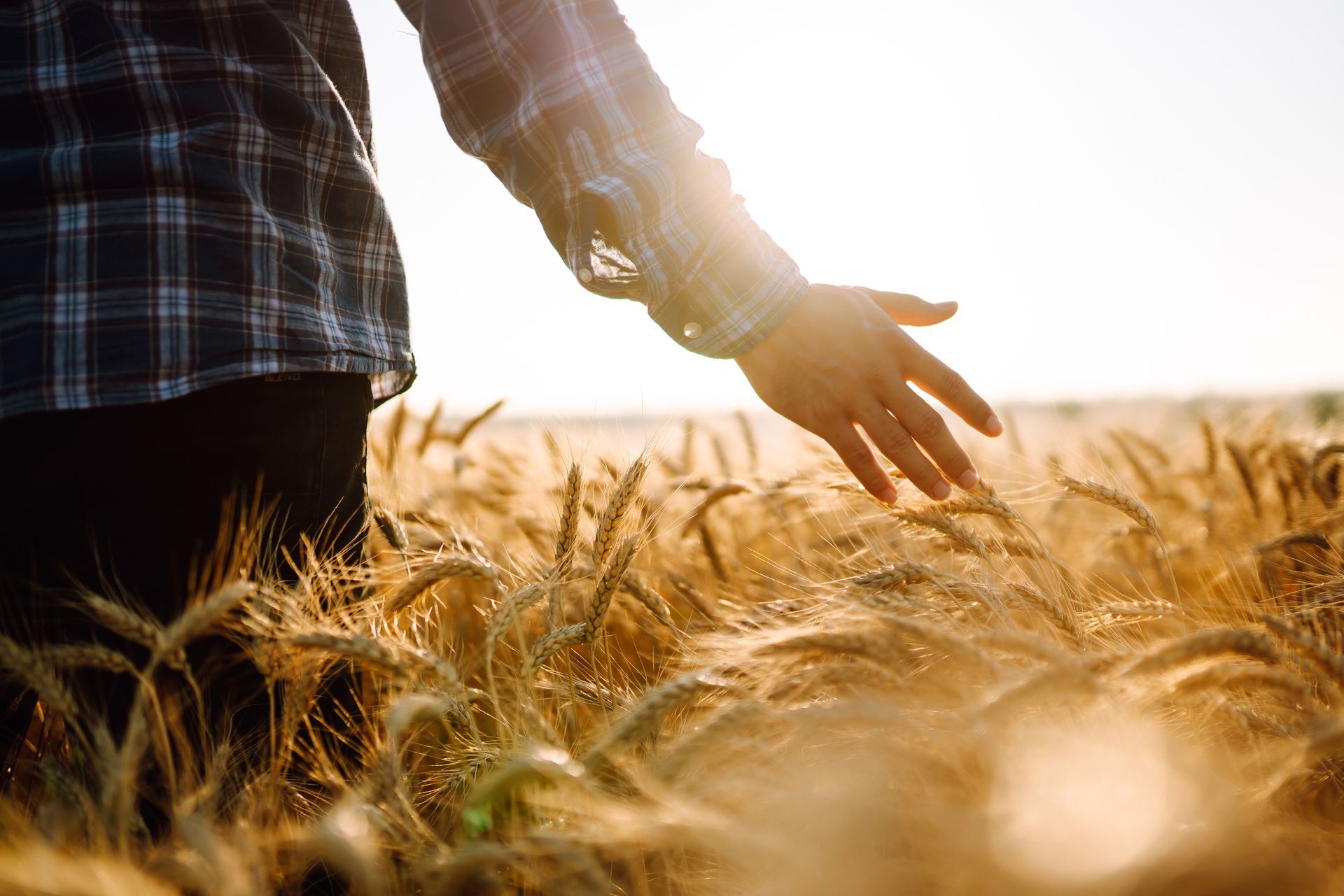 Como comprovar tempo de serviço rural para aposentadoria