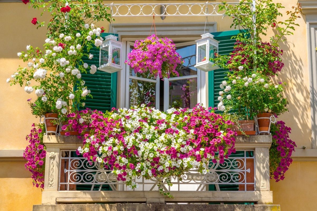 Hobbistica e giardinaggio