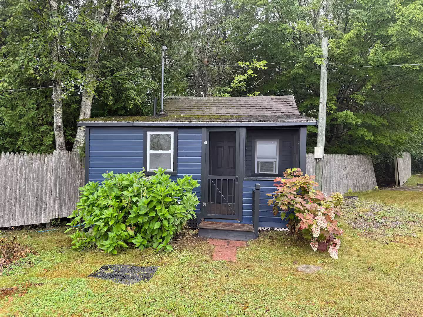 Small blue shed with a porch in a grassy backyard, surrounded by trees and bushes.