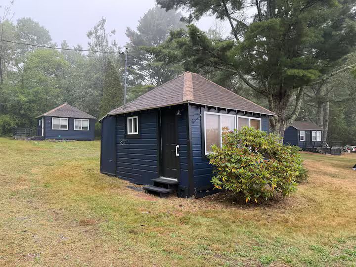 Small dark blue cabin with a front window in a grassy, wooded area on a foggy day